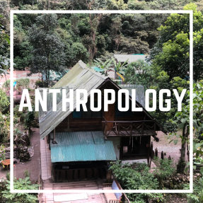 Anthropology-2